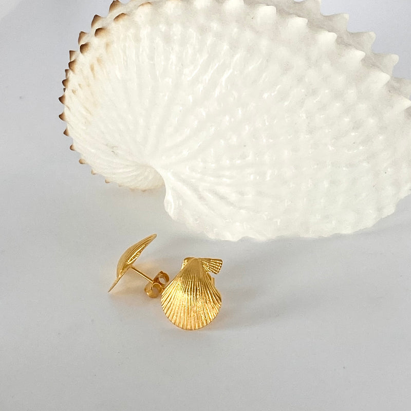 Scallop shell studs-Tasmanian Jewellery and gemstones-Rare and Beautiful