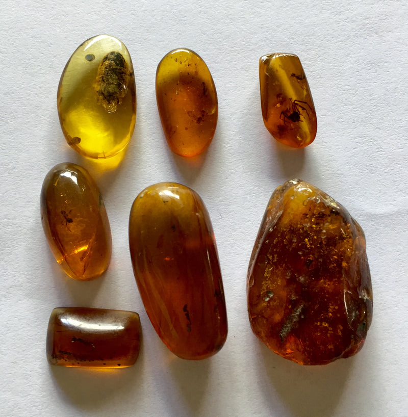 7 pieces Burmese Amber-Tasmanian Jewellery and gemstones-Rare and Beautiful