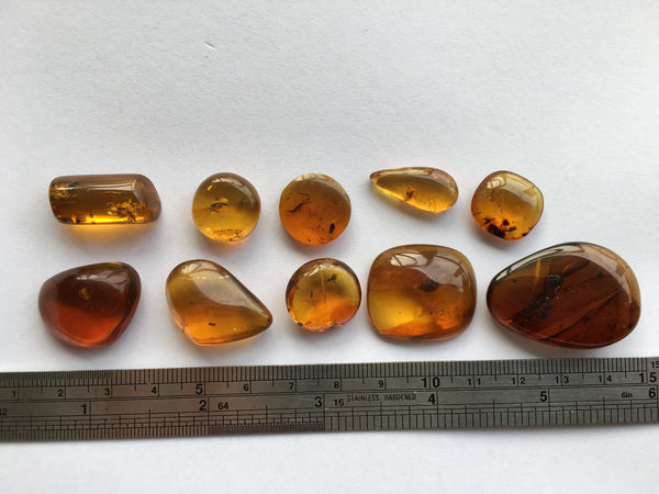 10 peices of Burmese Amber with insects