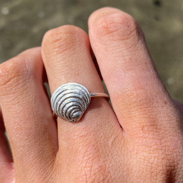 venus shell ring 