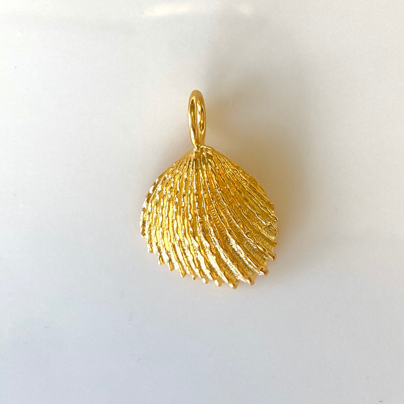 Trigonia pendant-Tasmanian Jewellery and gemstones-Rare and Beautiful