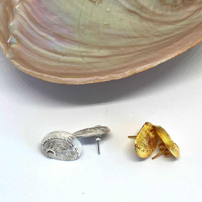 Small abalone studs-Tasmanian Jewellery and gemstones-Rare and Beautiful