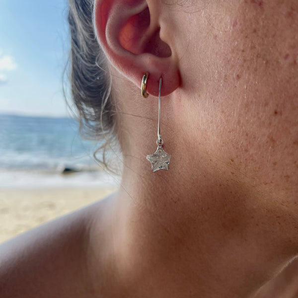 Star Fish Earrings-Tasmanian Jewellery and gemstones-Rare and Beautiful
