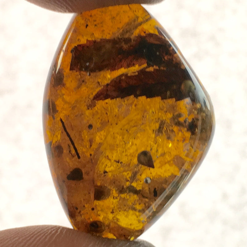 Copy of Burmese Amber with leaf details