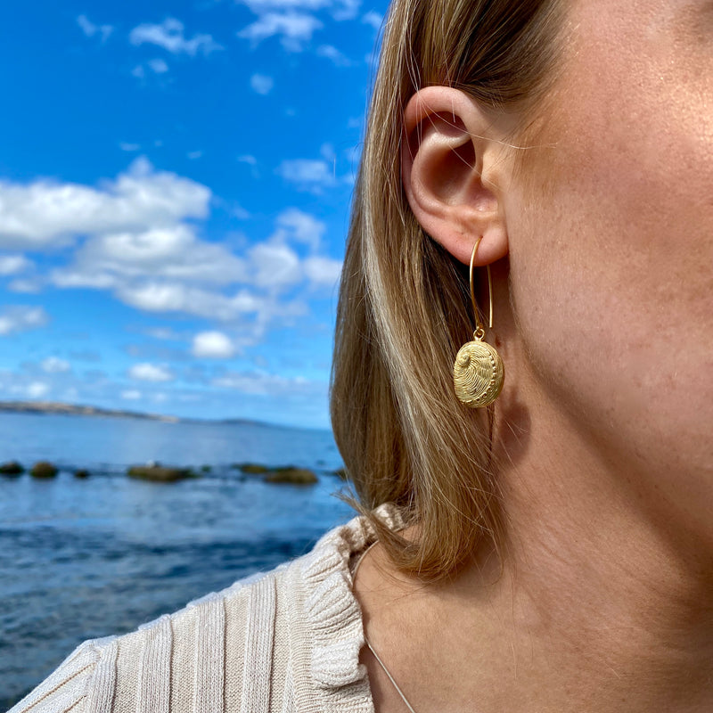 Abalone Earrings - petite-Tasmanian Jewellery and gemstones-Rare and Beautiful