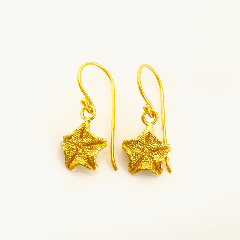 Starfish Earrings-Tasmanian Jewellery and gemstones-Rare and Beautiful
