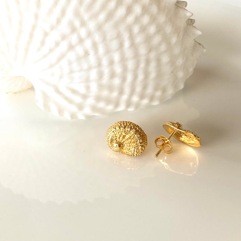 Abalone studs - petite-Tasmanian Jewellery and gemstones-Rare and Beautiful