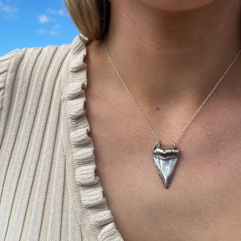 Shark tooth pendant-Tasmanian Jewellery and gemstones-Rare and Beautiful