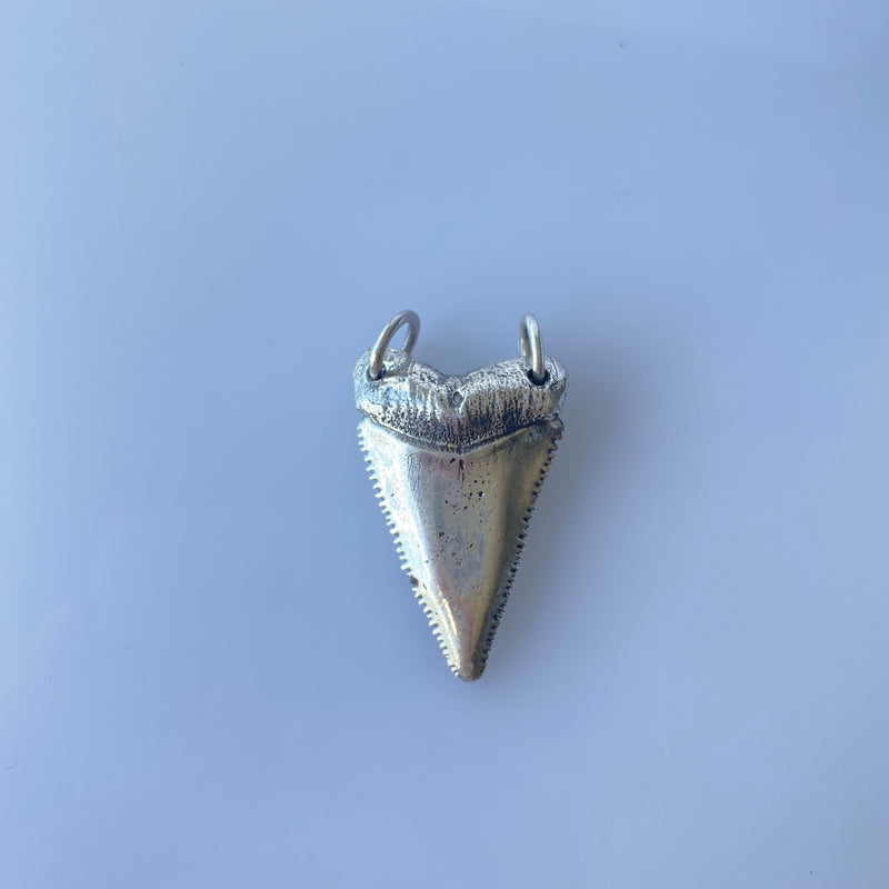 Shark tooth pendant-Tasmanian Jewellery and gemstones-Rare and Beautiful
