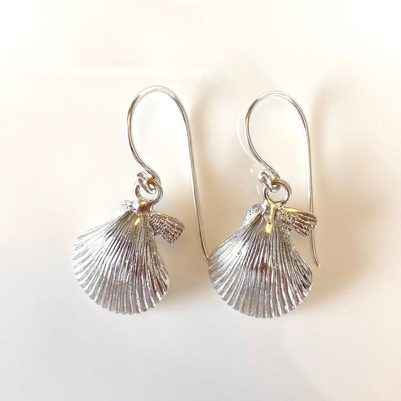 Scallop shell earrings-Tasmanian Jewellery and gemstones-Rare and Beautiful