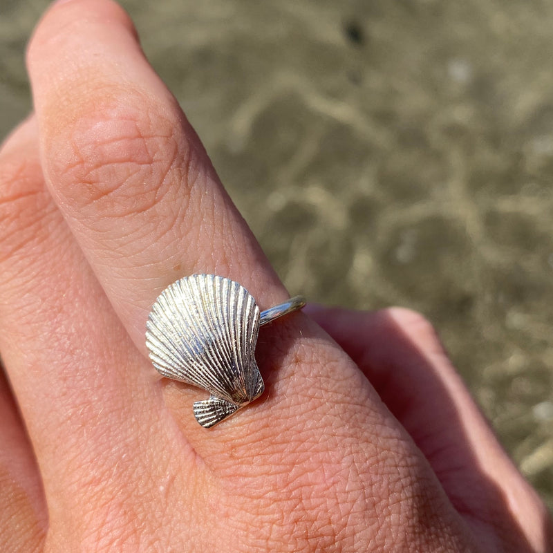 scallop ring 