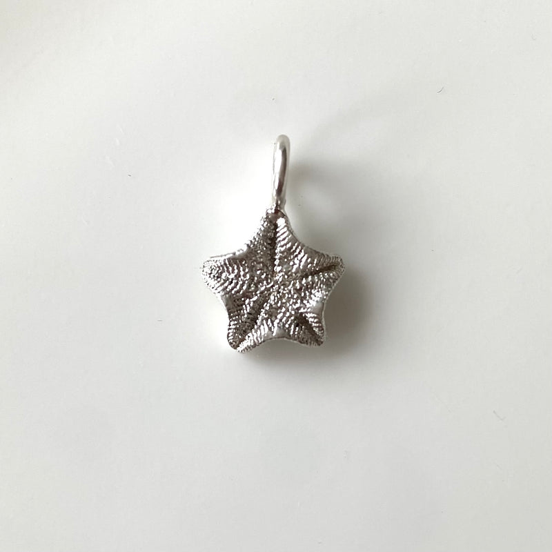 Star Fish Pendant-Tasmanian Jewellery and gemstones-Rare and Beautiful