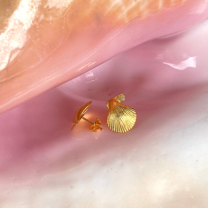 Scallop shell studs-Tasmanian Jewellery and gemstones-Rare and Beautiful