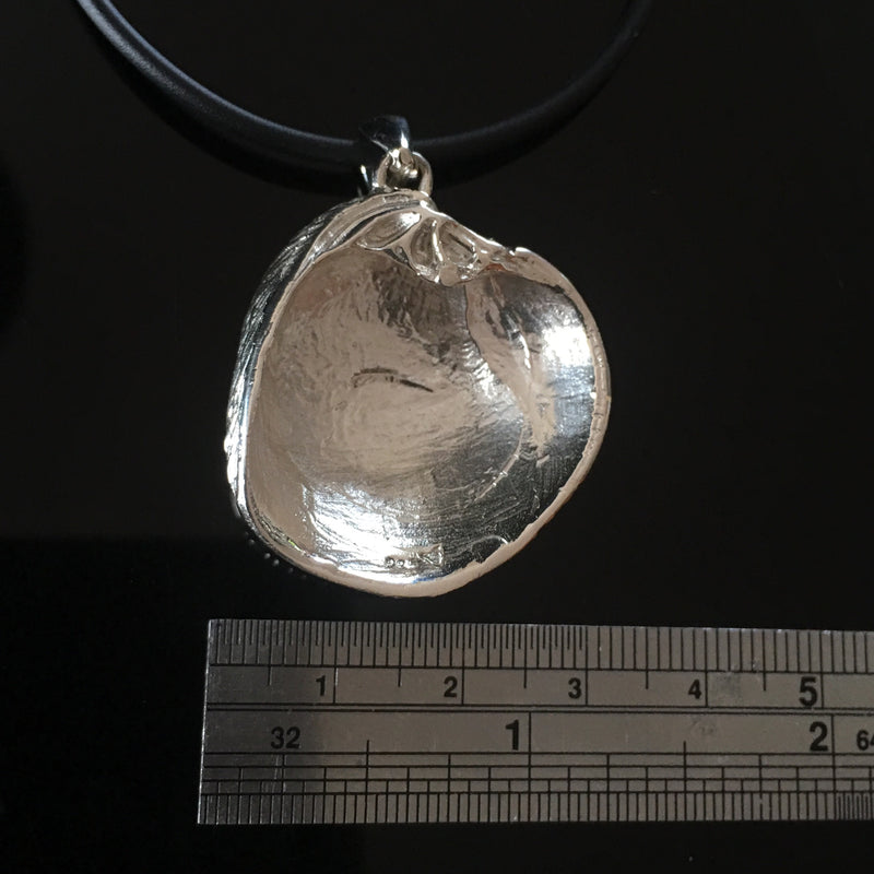 Tasmanian Venus Shell Pendant-Tasmanian Jewellery and gemstones-Rare and Beautiful