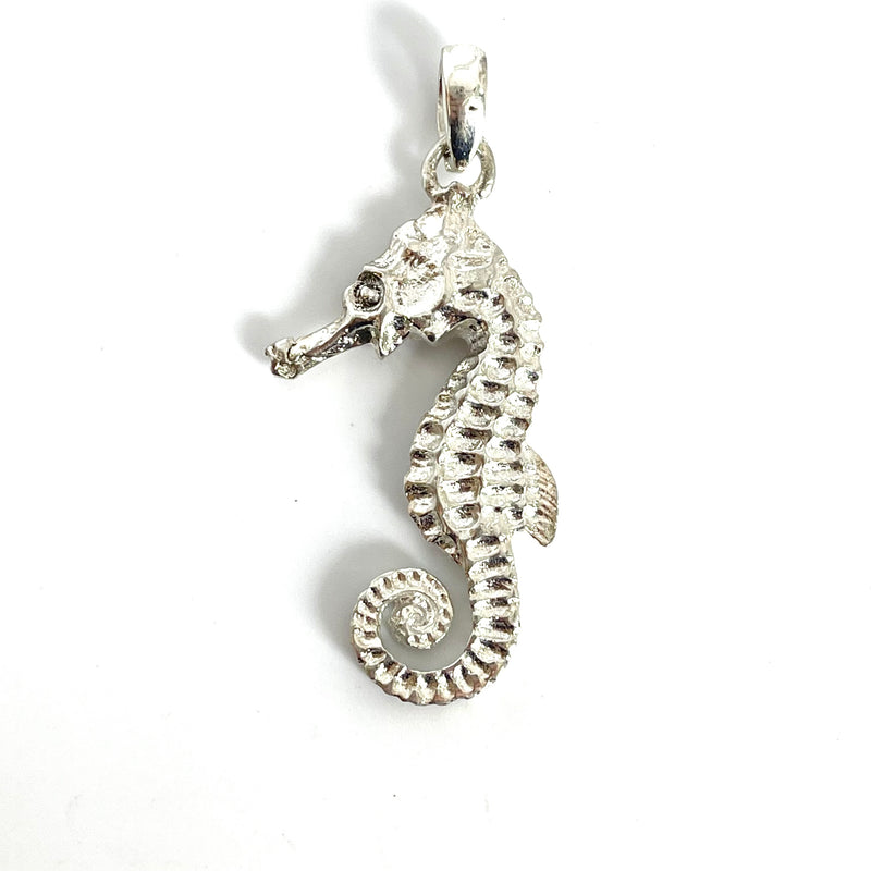 Tasmanian Seahorse Pendant - small-Tasmanian Jewellery and gemstones-Rare and Beautiful