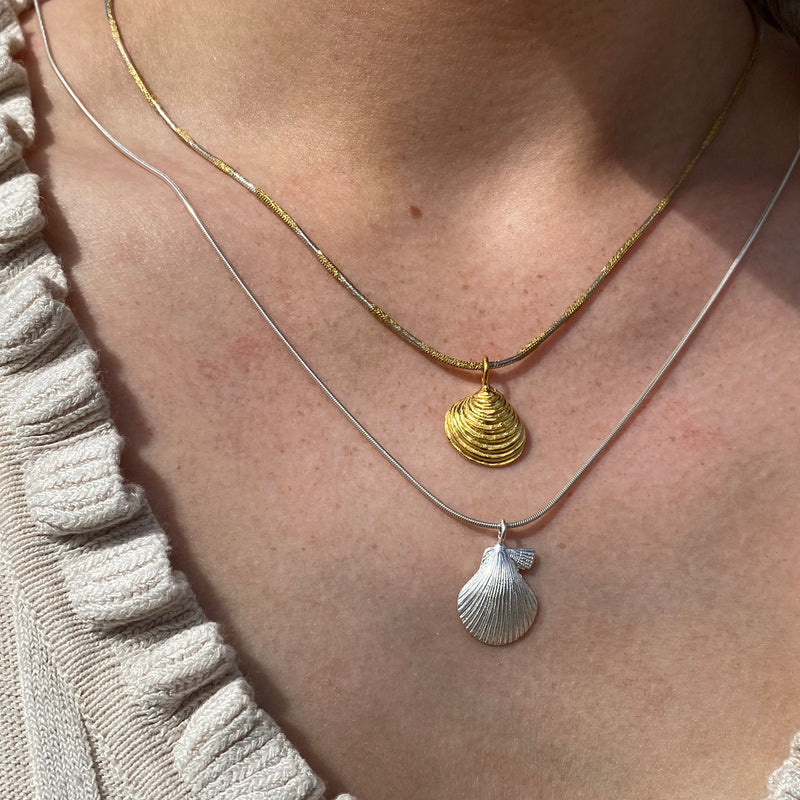 Scallop pendant - petite-Tasmanian Jewellery and gemstones-Rare and Beautiful