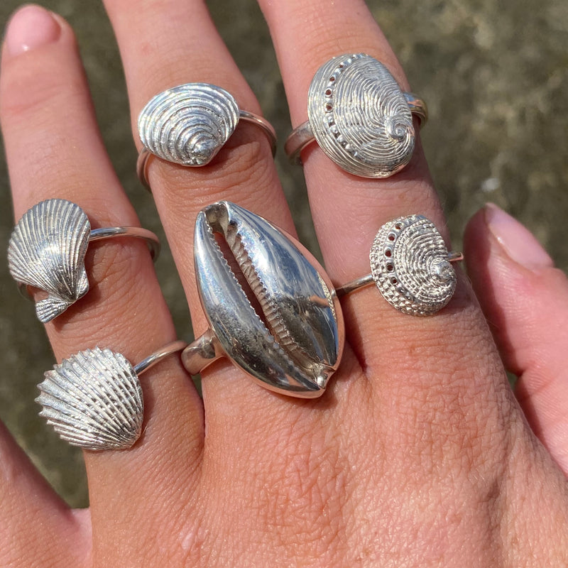 coastal shell rings cast in sterling silver 