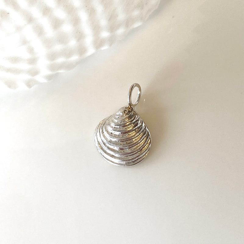 Venus Shell Pendant - small-Tasmanian Jewellery and gemstones-Rare and Beautiful
