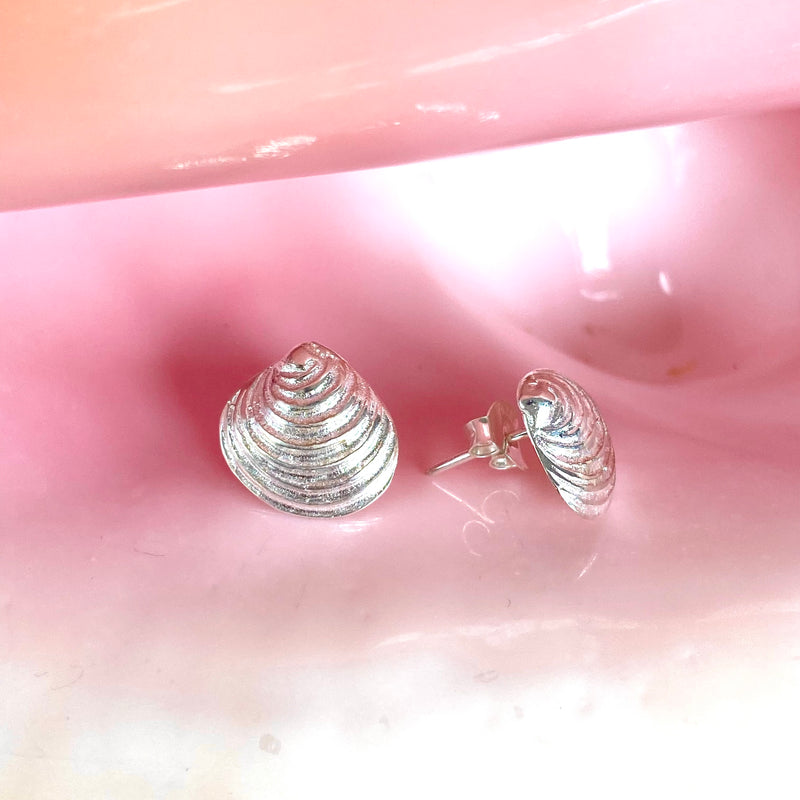 Venus Shell Stud Earrings-Tasmanian Jewellery and gemstones-Rare and Beautiful